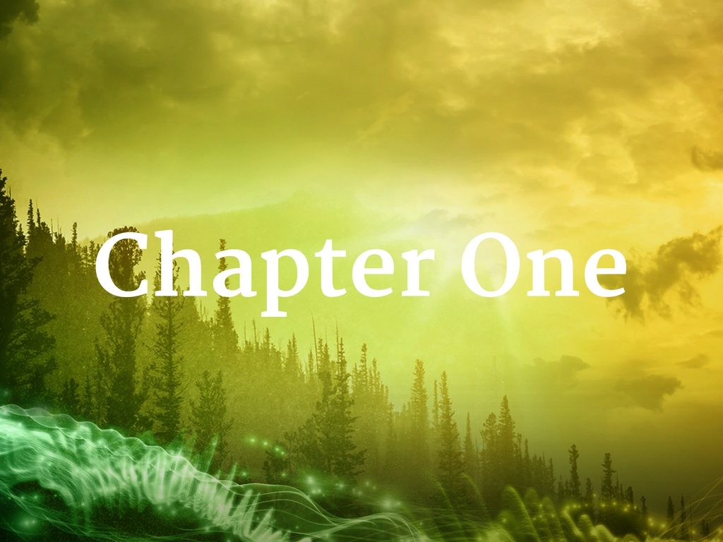 Chapter One