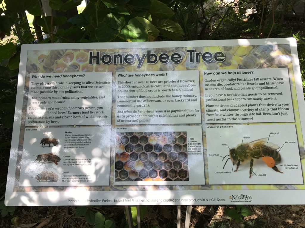 Honeybee Tree Sign