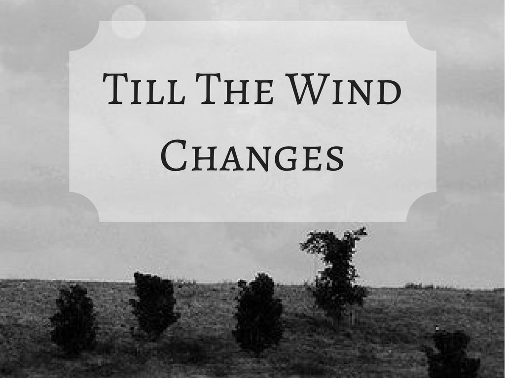 Till The Wind Changes