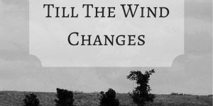 Till The Wind Changes